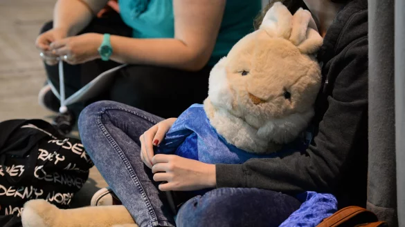 Jede f&uuml;nfte Frau und jeder neunte Mann hat auf Reisen ein Kuscheltier bei sich, das hat bereits 2013 eine repr&auml;sentative Umfrage herausgefunden. - &copy; Picture Alliance