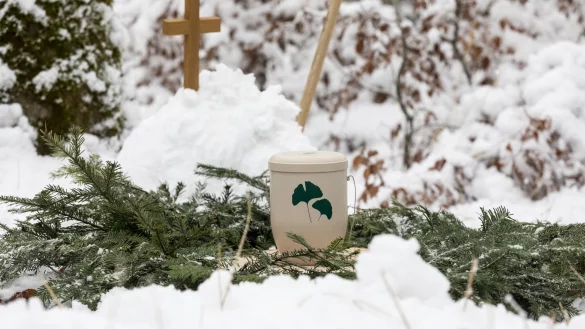 Die Nachfrage nach Bestattung unter B&auml;umen steigt, das nehmen auch Blombergs Politiker wahr. Allerdings scheint der Standort H&ouml;ntrup aus politischer Sicht verbrannt. - &copy; FriedWald Gmbh