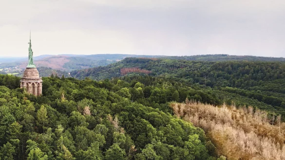 Blick auf den Hermann - &copy; Wortmann Gruppe Detmold
