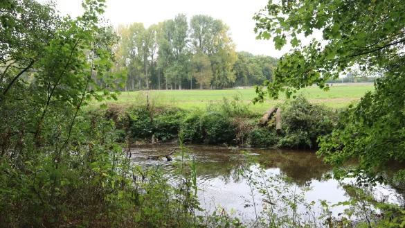 Ein Naturlehrpfad am Heipker See ist f&uuml;r die SPD aus Gr&uuml;nden des Naturschutzes kein Thema. Die Parteimitglieder vermissen au&szlig;erdem einen schriftlichen Antrag. Foto: Birgit Guhlke - &copy; Birgit Guhlke