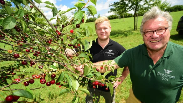 Friedhelm und Fabius Begemann (von rechts), hier an der Schattenmorelle, haben 35 Kirschb&auml;ume auf ihrer Streuobstwiese. - &copy; Nicole Ellerbrake