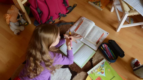 Um die Hausaufgaben erledigen zu k&ouml;nnen, braucht es allerhand Schulzubeh&ouml;r. - &copy; Jens Kalaene/dpa