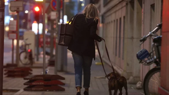 Abendspaziergang - &copy; Foto: David Young/dpa