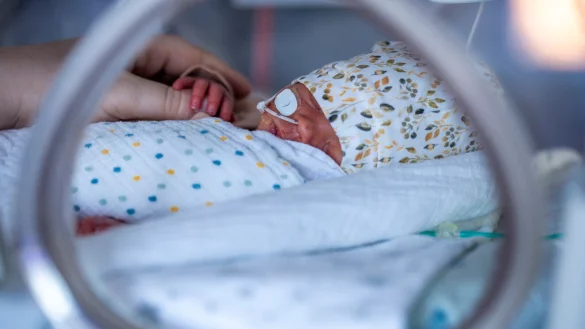 Die allermeisten Fr&uuml;hgeborenen sind im Laufe ihrer Behandlung auf die Milch von Spenderinnen angewiesen. Doch im Gro&szlig;teil der deutschen Perinatalzentren steht diese nicht zur Verf&uuml;gung. - &copy; picture alliance/dpa