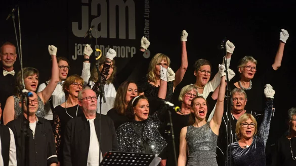 Rund 50 Sängerinnen und Sänger begeistern das Publikum mit ihrer Lied-Auswahl. - © Nicole Ellerbrake