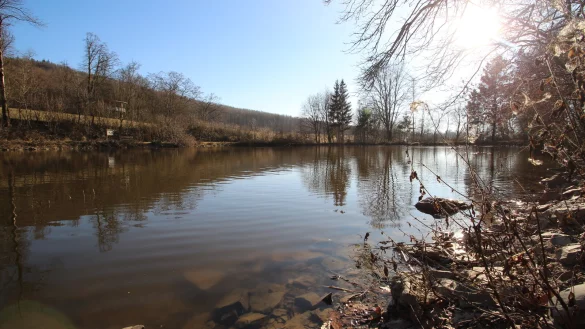 Der Schwelentruper Dorfteich ist zurzeit ausreichend mit Wasser gefüllt. - © Jens Rademacher