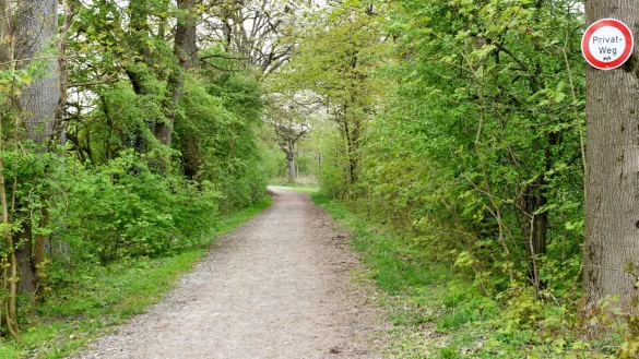 Die Sperre ist weg, der Wanderweg in der Verlängerung der Hanegge kann wieder benutzt werden. - © Gunter Held