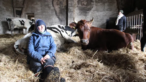 Astrid Hellmig (links) und Mitarbeiterin Svenja Werner mit K&uuml;hen und K&auml;lbern. - &copy; Jens Rademacher