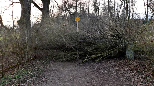 Ende Gelände: Wer von der Hanegge aus über die Blaue Brücke ins Menkhauser Waldgebiet möchte, wird wenige Meter nach der Brücke von dieser aus Zweigen errichteten Barriere aufgehalten. - © Gunter Held