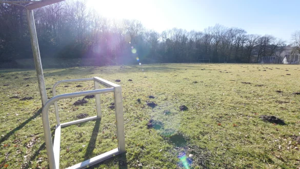 Der Sportplatz in Holzhausen-Externsteine wird aktuell nicht genutzt. Das sieht man dem Gelände an. Die Schützen würden hier gerne Bogenschießen üben. Der Wall im Hintergrund wäre ein natürlicher Pfeilfang. - © Jost Wolf