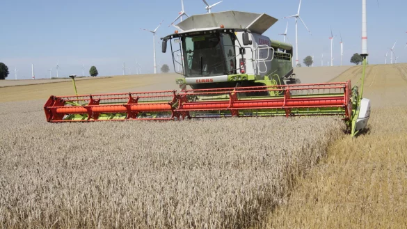 Die Getreideernte in Ostwestfalen-Lippe ist weitgehend abgeschlossen – die Bilanz: durchwachsen. Unser Bild zeigt einen Mähdrescher in Bad Wünnenberg (Kreis Paderborn). - © Uwe Müller