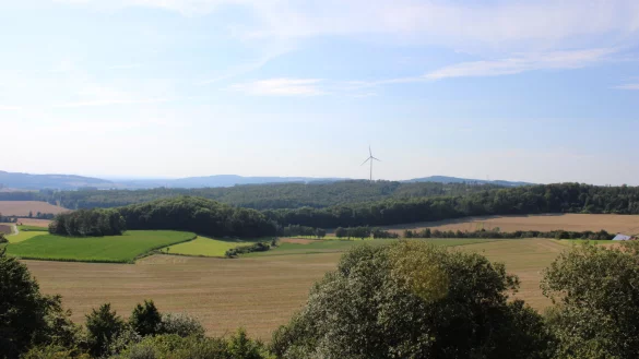 Auf diesem Acker in Sonneborn soll später ein Teil der Anlagen stehen. - © Archivfoto: Lorraine Brinkmann