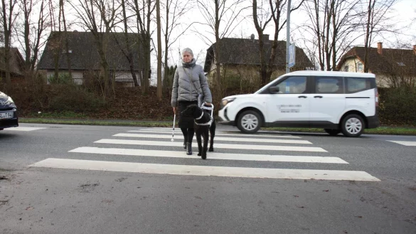Akira führt Monika Dalecki sicher über den Zebrastreifen. Bei Wind und Wetter: Jeden Tag geht es auf die Runde. - © Dieter Scholz