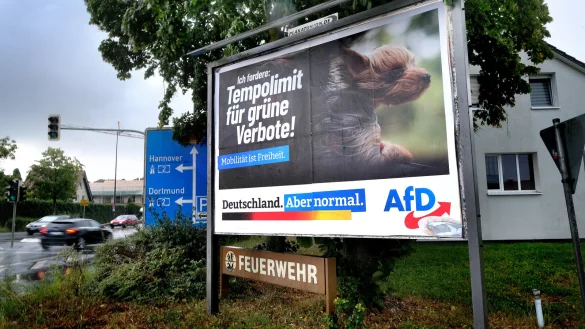 Die AfD hat bei der Bundetagswahl auch in Herford sehr stark abgeschnitten und konnte ihr Wahlergebnis von 2021 verdoppeln.. - © Andreas Frücht