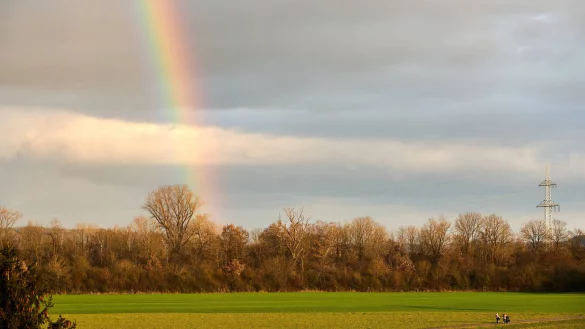 Auch, wenn es sich gerade anders anf&uuml;hlt: Jeden Tag passieren gute Dinge, auch in OWL. Wir haben gute Taten f&uuml;r Sie gesammelt, lesen Sie selbst. - &copy; IMAGO/Bihlmayerfotografie