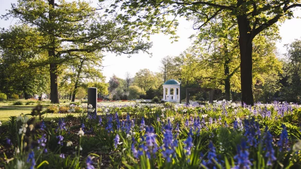 Auch die Bepflanzung des Kurparks hat in der Umfrage gute Noten bekommen. Bemängelt wurde von mehreren Teilnehmern die aus ihrer Sicht nicht ausreichende Anzahl an Sitzplätzen. - © Nadja Jacke/Stadt Bad Salzuflen