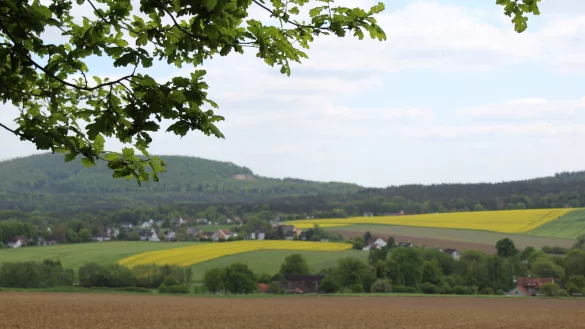 Der Heimat- und Verkehrsverein hat viele Jahre Aufgaben im Luftkurort H&ouml;rste &uuml;bernommen und eine lange Tradition, aber derzeit gibt es keinen Vorstand. - &copy; Archivfoto: Sandra Castrup