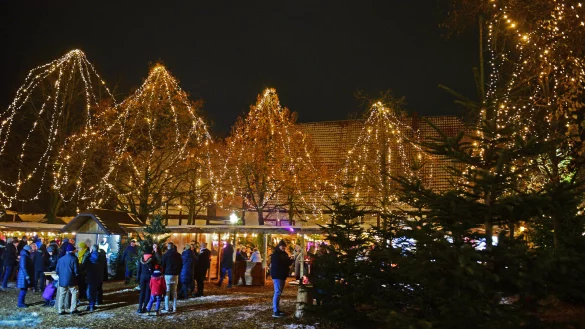 Klein, aber fein: Bei der Winterwelt in Lemgo war im Dezember wieder einiges los. - © Nicole Ellerbrake
