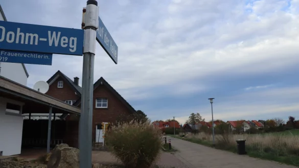 Das Baugebiet Brunsheide sollte ein Diskussionspunkt der drei Kandiaten sein. - © Archivfoto: Birgit Guhlke