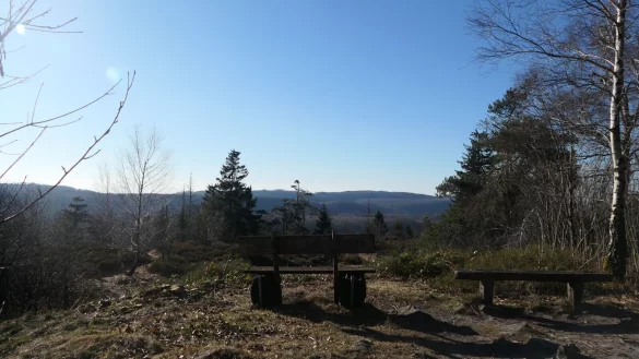 Beeindruckender Ausblick: Bänke an der Velmerstot wurden freigeschnitten. - © Landesverband Lippe