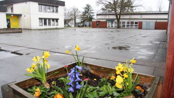 Die Grundschule In der Senne bekommt eine weitere halbe OGS-Gruppe zum kommenden Schuljahr. - © Archivfoto: Cordula Gröne