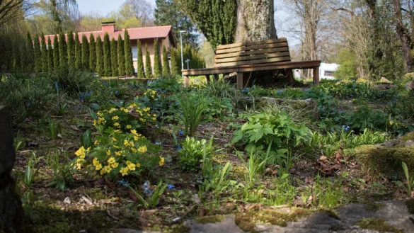 Im Mai bleiben Flächen in Horn-Bad Meinberg ungemäht, um Lebensräume für Tiere und Insekten zu bieten. - © Stadt Horn-Bad Meinberg