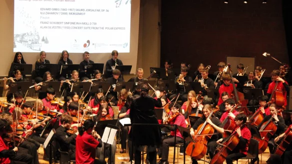 Unter der Leitung von Starlet Smith und Florian Wessel boten die Musikerinnen und Musiker des Detmolder Jugendorchesters und des McLean High School Orchestra aus Washington D.C. einen fulminanten Konzertabend. - © Juliana Szabo