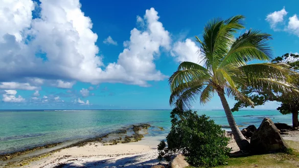 Beim Vortrag des Naturwissenschaftlichen und Historischen Vereins Lage geht es um die pazifische Inselwelt von Tahiti bis Japan. - &copy; Claus Hinrich Gra&szlig;