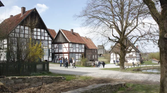 Aus dem Winterschlaf erwacht: Das LWL-Freilichtmuseum lockte beim diesjährigen Familienfest zahlreich die Besucher an. Bei strahlendem Sonnenschein gab es dabei für Jung und Alt viel zu entdecken. - © Juliana Szabo