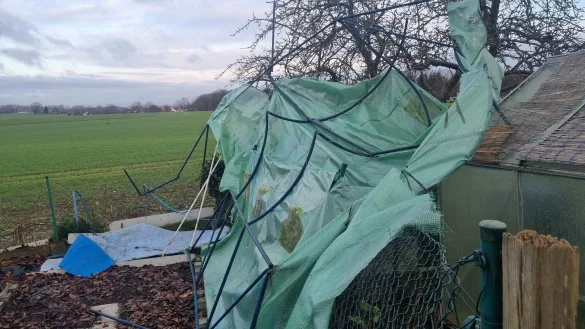 In Leopoldsh&ouml;he hat der Sturm die Plane und das Gest&auml;nge eines Gew&auml;chshauses davongeweht. - &copy; Kirsten Fuhrmann