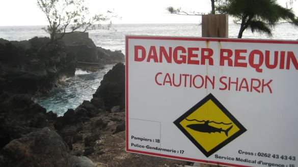 Warnschild - &copy; Foto: Gerd Roth/dpa/Archiv