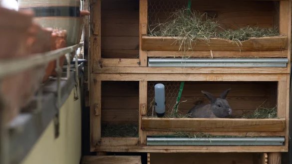 Bei Hitze kein guter Ort - &copy; Foto: Franziska Gabbert