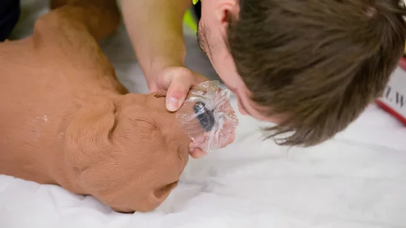 Erste Hilfe - &copy; Foto: Daniel Karmann