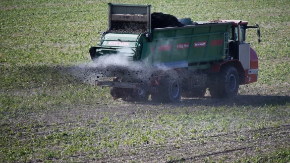 D&uuml;ngen mit Mist - &copy; Foto: Henning Kaiser/dpa