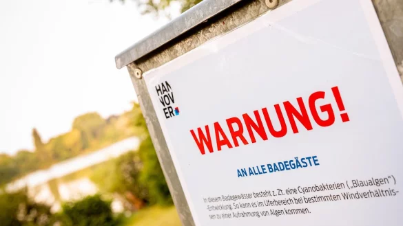 Blaualgenwarnung - &copy; Foto: Moritz Frankenberg/dpa