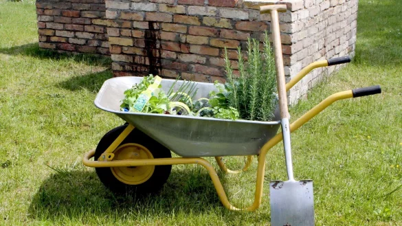 Schubkarren im Test - &copy; Foto: Nestor Bachmann/dpa-tmn