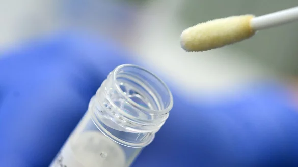 Corona-Test - &copy; Foto: Sebastian Gollnow/dpa