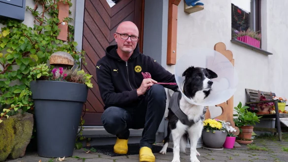 Carsten Kie&szlig;ler mit Border Collie "Abby". Die 14 j&auml;hrige H&uuml;ndin musste nach dem Angriff mit mehr als 80 Stichen gen&auml;ht werden. - &copy; Lorraine Brinkmann