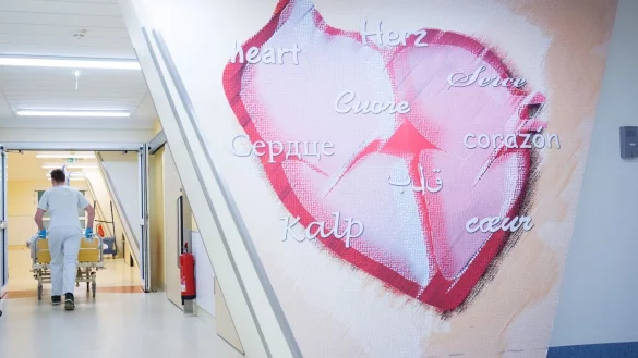 Herz - &copy; Foto: Christian Charisius/dpa/dpa-tmn