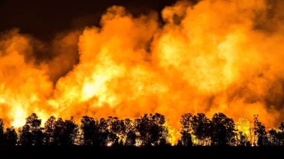 Waldbrand - &copy; Foto: Rob Engelaar/ANP/dpa