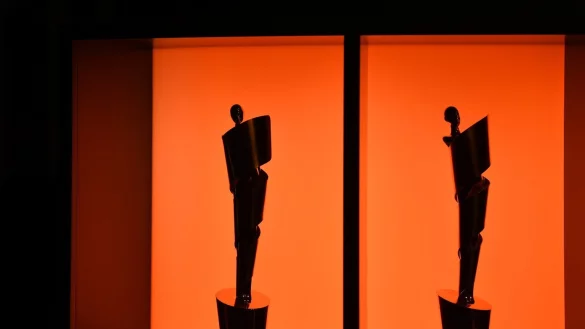 Deutscher Filmpreis - &copy; Foto: Jens Kalaene/dpa-Zentralbild/dpa