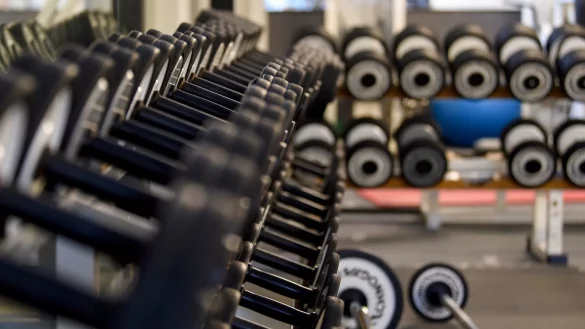 Debatte mit Gewicht - &copy; Foto: Kira Hofmann/dpa-Zentralbild/dpa