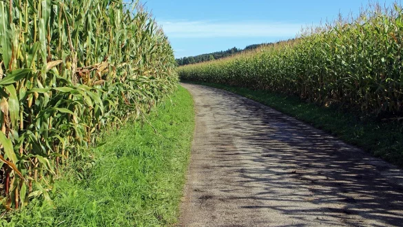 Die Stadt Barntrup m&ouml;chte ihre Wirtschaftswege sanieren. - &copy; Symbolbild: Pixabay