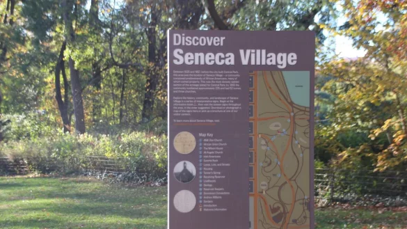 Black Panther im Central Park - &copy; Foto: Christina Horsten/dpa