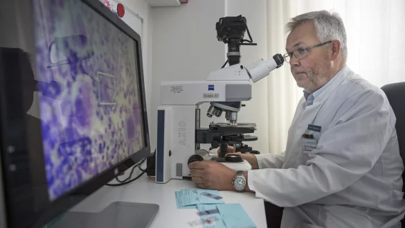 Professor Dr. Frank Hartmann wertet am Mikroskop eine Gewebeprobe aus. Das Ergebnis gibt dem Chefarzt der Onkologie des Klinikums Lippe wichtige Hinweise für die Krebstherapie. - © Klinikum Lippe