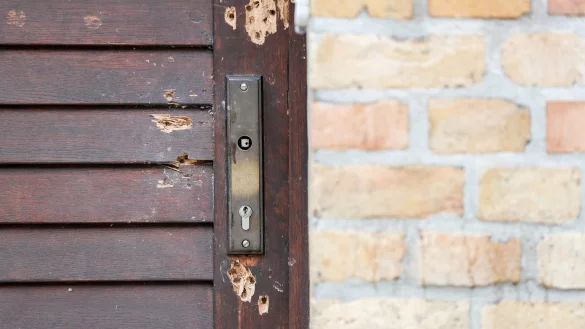 Halle - &copy; Foto: Jan Woitas/zb/dpa