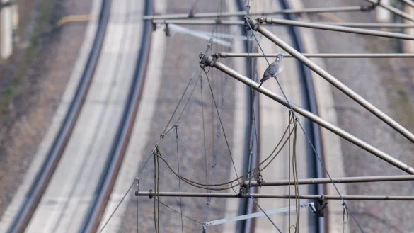 Reisende und Pendler müssen auch in diesem Jahr viel Geduld mitbringen. - © Julian Stratenschulte/dpa