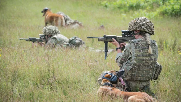 In der Senne: Hundef&uuml;hrer bei einer Gefechts&uuml;bung mit ihren Diensthunden auf dem Truppen&uuml;bungsplatz. - &copy; Dominic King