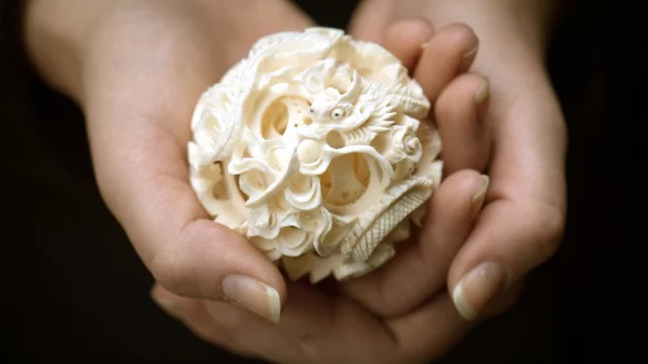 "Tierische Souvenirs" sind oft illegal - &copy; Foto: Boris Roessler