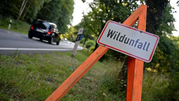 Das Schild weist Autofahrer auf einen Wildunfall hin. - &copy; Symbolbild